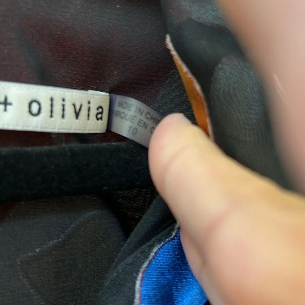 Alice + Olivia Silk Dress